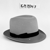 KrM 19/74 7 - Hatt