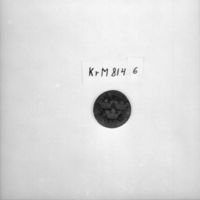KrM 8146 - Mynt