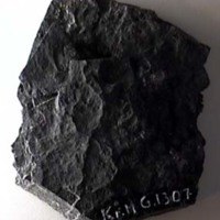 KrM G1307 - Trilobit