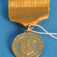 KrM 12/2010 72 - medalj