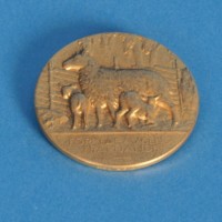 KrM 12/2010 30 - medalj