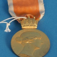 KrM 12/2010 19 - medalj