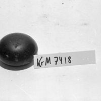 KrM 7418 - Gnidsten