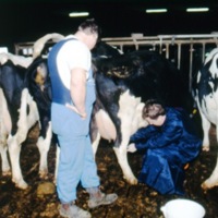 KrM KCH007239 - Mjölkhushållning