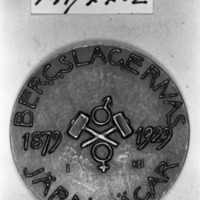 KrM 141/77 2 - Medalj