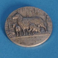KrM 12/2010 37 - medalj