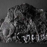 KrM G1001 - Trilobit