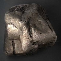 KrM G0514 - Spårfossil