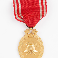KrM 29/2019 5 - Medalj, förtjänst