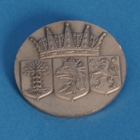 KrM 12/2010 34 - Medalj