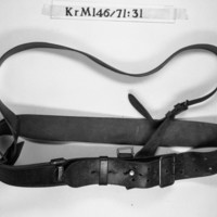 KrM 146/71 31 - Entantekoppel