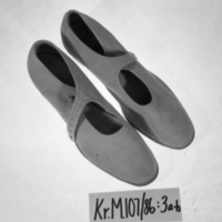 KrM 107/86 3a-b - Sko
