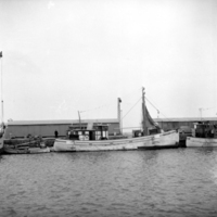KrM KBGB012038 - Fiskebåt