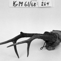 KrM 61/68 284 - Horn