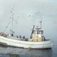 KrM KCA001642 - Fiskebåt