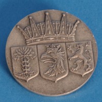 KrM 12/2010 53 - medalj