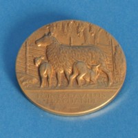 KrM 12/2010 32 - Medalj