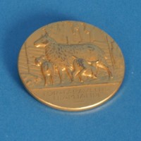 KrM 12/2010 29 - Medalj