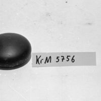 KrM 5756 - Gnidsten
