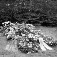 KrM KAJE003713 - Begravningsplats