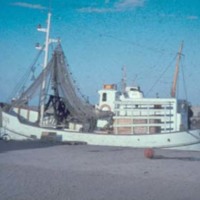 KrM KCA001704 - Fiskebåt