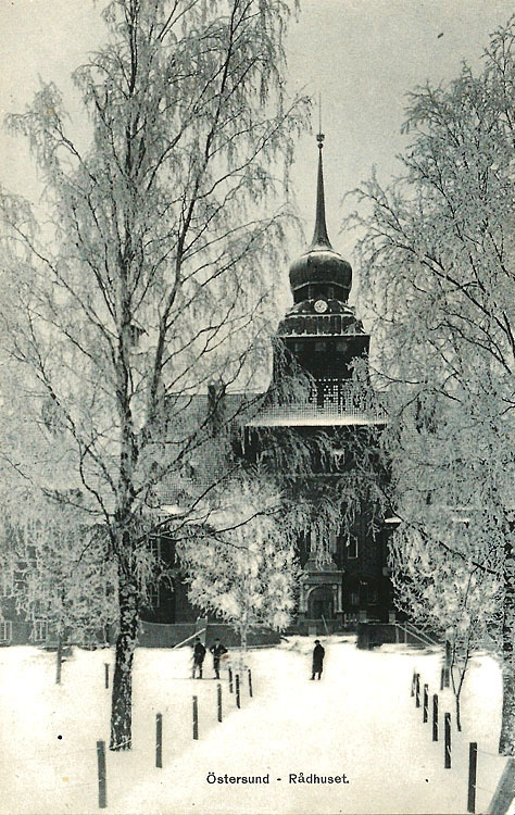 Rådhuset i vinterskrud