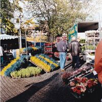 FGÖ 21255 - Blomsterförsäljning på Stortorget