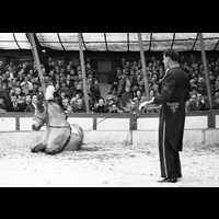 FGÖ 15895 - Cirkus Zoo