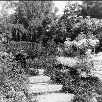 FGÖ 4510 - Tomt och trädgård.