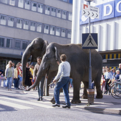 Solb 2012 05 04 - Elefant på Centralvägen