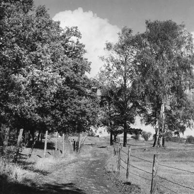 Solb 1983 23 47 - Vägen mellan Framnäs och Råsunda, 1942