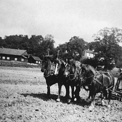 Solb U 1988 3 11 - Lantbrukare vid Nederjärva gård, 1930-tal