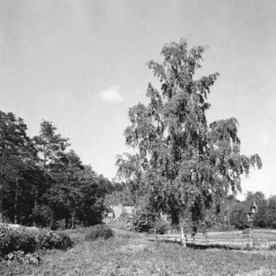 Solb 1988 37 2 - Ektorp från Huvudsta allé, 1953
