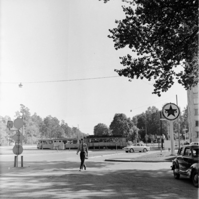 Solb 2011 22 28 - Haga norra, 1959
