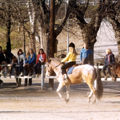 Solb 1994 3 99 - Häst o ryttare vid Huvudsta ridskola