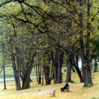 Solb 1994 3 2 - Slottspark