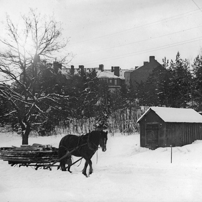 Solb 1988 44 60 - Hästtransport vid Råstavägen