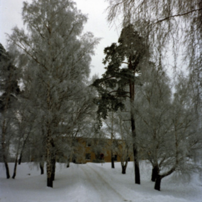 Solb 1987 10 6 - Rektorsvillan, Blindinstitutet i Tomteboda.