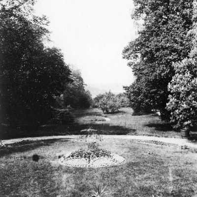 Solb 1985 10 16 - Tomt och trädgård