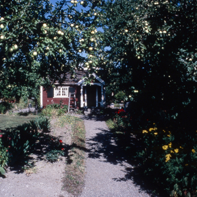 Solb 2014 05 14 - Koloniträdgård vid Sköndal