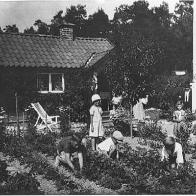 Solb 1994 9 1 - Koloniträdgård vid Ålkistan
