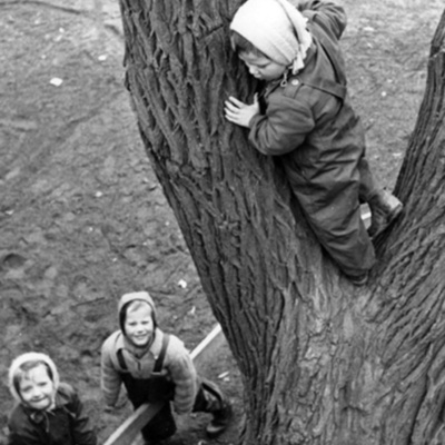 Solb 1996 20 73 - Barn klättrar i träd i Hagalund