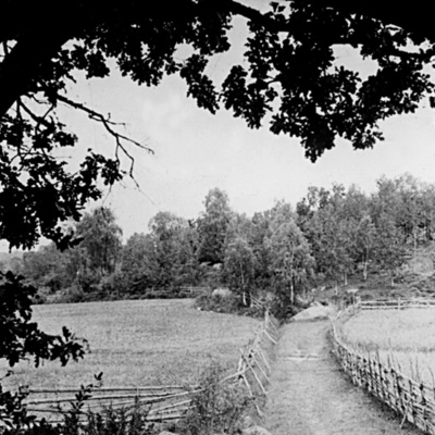 Solb 1994 11 1 - Landsväg vid Överjärva gård, omkring 1900