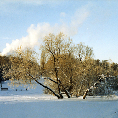 Solb 2014 10 01 - Träd vid Råstasjön