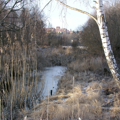 Solb 2014 20 51 - Vid Råstasjön, 2002
