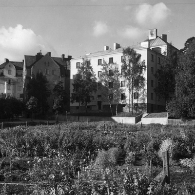 Solb 1988 44 47 - Ryttargatan på 1930-talet