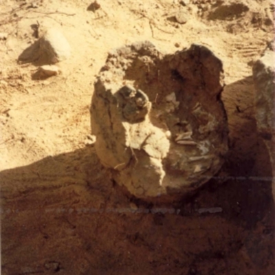 Solb 2002 4 90 - Arkeologi