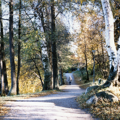 Solb 2014 10 06 - Promenadväg längs Råstasjön