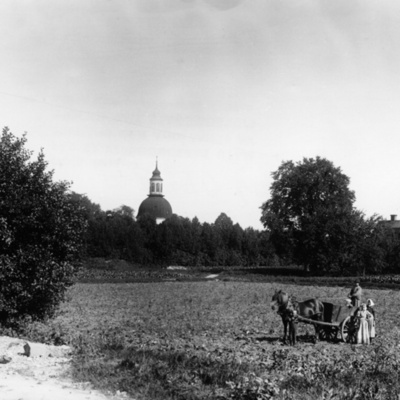 Solb 1978 27 1 - Tobaksodling och Solna kyrka, 1910