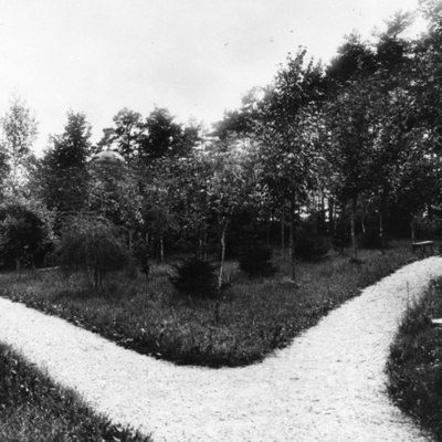 Solb 1978 46 228 - Tomt och trädgård